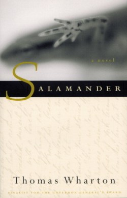 Salamander Cover
